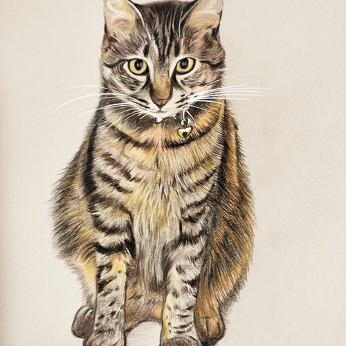 ペットの似顔絵 オーダーメイド 色鉛筆手描き [ハガキサイズ☆2L版