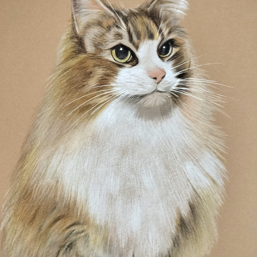 ペットの似顔絵 オーダーメイド 色鉛筆手描き [ハガキサイズ☆2L版