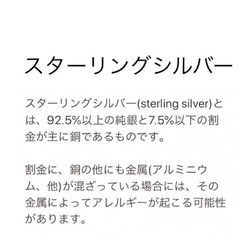 ＊ガーネット＊ユニセックスネックレス▪︎silver925いぶし銀チャーム▪︎サージカルステンレスネックレス 5枚目の画像