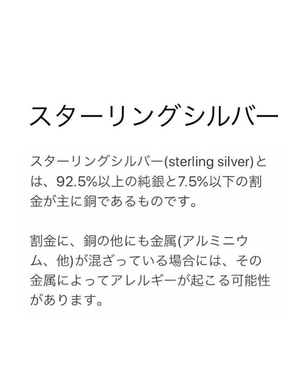 ＊ガーネット＊ユニセックスネックレス▪︎silver925いぶし銀チャーム▪︎サージカルステンレスネックレス 5枚目の画像