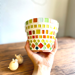 アグラオネマレッドゴールド◇観葉植物◇鉢付き◇4号◇鉢のみ販売可◇タイル鉢◇モザイクタイル◇オリジナル作品 13枚目の画像