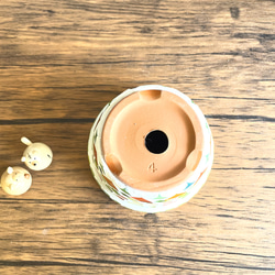 アグラオネマレッドゴールド◇観葉植物◇鉢付き◇4号◇鉢のみ販売可◇タイル鉢◇モザイクタイル◇オリジナル作品 12枚目の画像