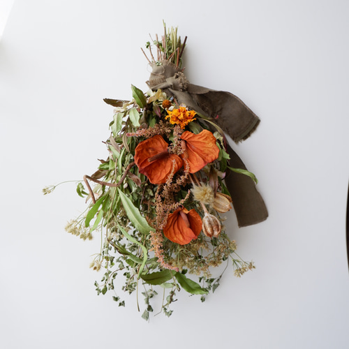 アンスリウムのスワッグ ドライフラワー petite riviere 通販 16204717