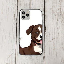 iphoneケース4-3-39 iphone 強化ガラス 犬・いぬ・ワンちゃん 箱11 かわいい アイフォン iface 1枚目の画像