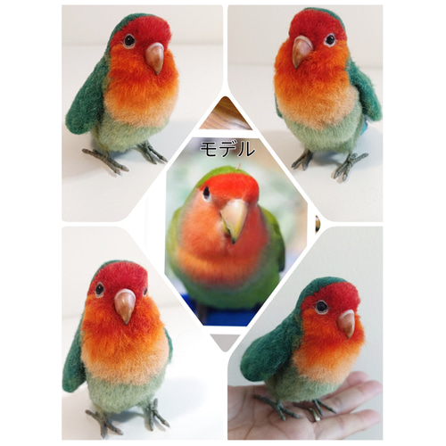 羊毛フェルト インコちゃんオーダーページ ① オーダーのセキセイインコちゃんです🦜 癒されながら作らせて