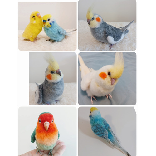 羊毛フェルト。インコ。オーダーNo.25 羊毛フェルト。インコ。オーダーNo.25