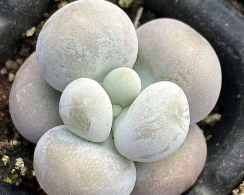 10585620775fc490ba7dadc3240bfa