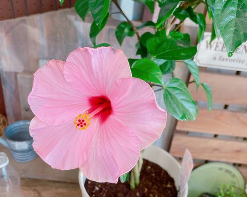 22ad6ede1c2b7ca6f88f9fbe199928