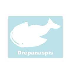 古生物學貼紙 Drepanaspis 第2張的照片