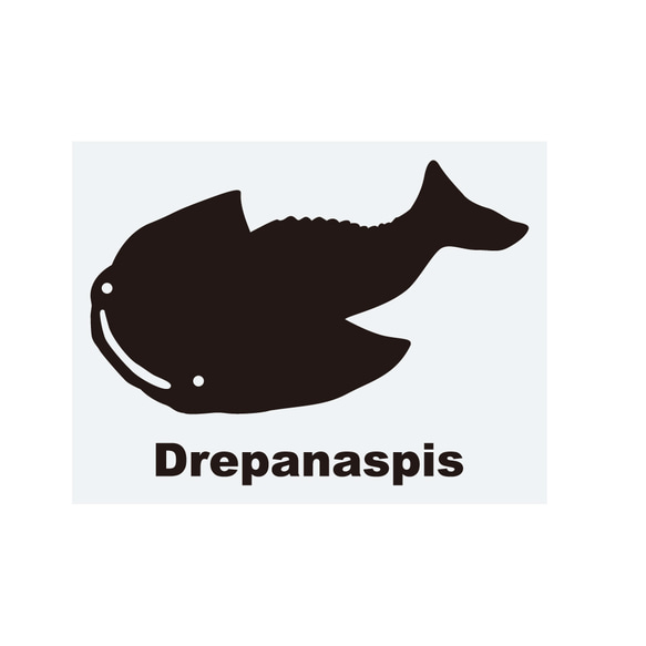 古生物學貼紙 Drepanaspis 第1張的照片