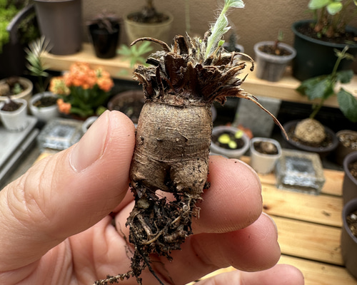 93db136f5ef9d18a2b6b9ab3e4f363