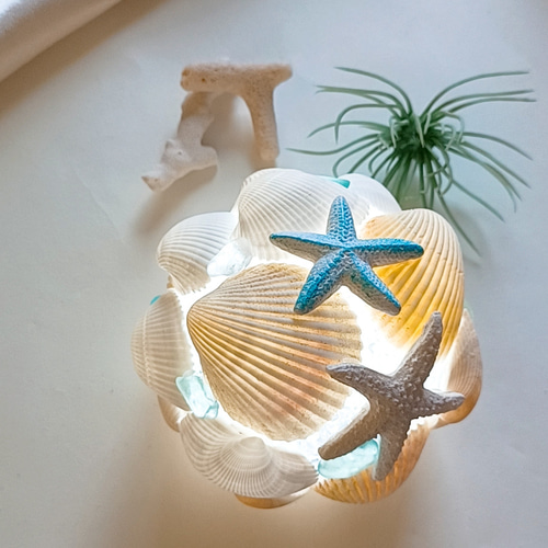 【 shell light 。 】シェルライト/ヒトデ/LED/starfish shell light 。 】シェルライト/ヒトデ/LED/starfish