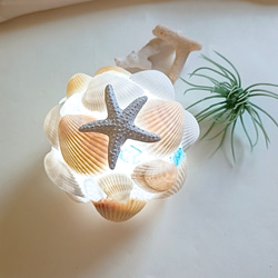 8d68019cce43246b3892e8e2f69580