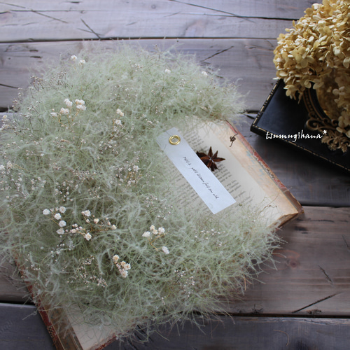 星あつめ」green beige №3 グリーンベージュ色のスモークツリーの  