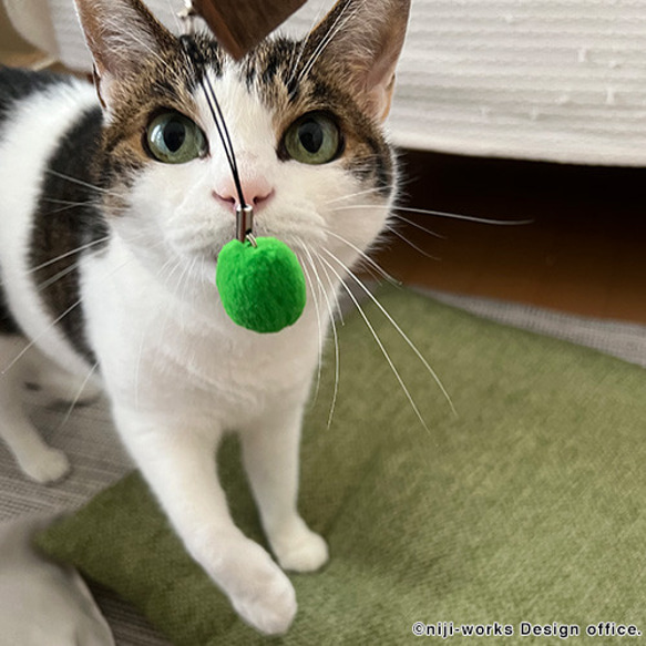 扇子 ｜ 猫に杉玉　ー扇子用　猫戯玉ストラップ付きー 3枚目の画像