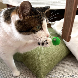 扇子 ｜ 猫に杉玉　ー扇子用　猫戯玉ストラップ付きー 2枚目の画像