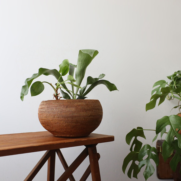 送料無料　ラスト２　春支度ＳＡＬＥ　伝統工芸アタ　ボール　バスケット　観葉植物　鉢カバーカゴ籠M69