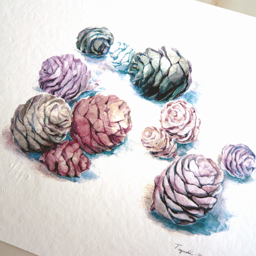 マツボックリ 】 ORIGINAL GICLEE 水彩画を高級紙に印刷した鑑賞用絵画