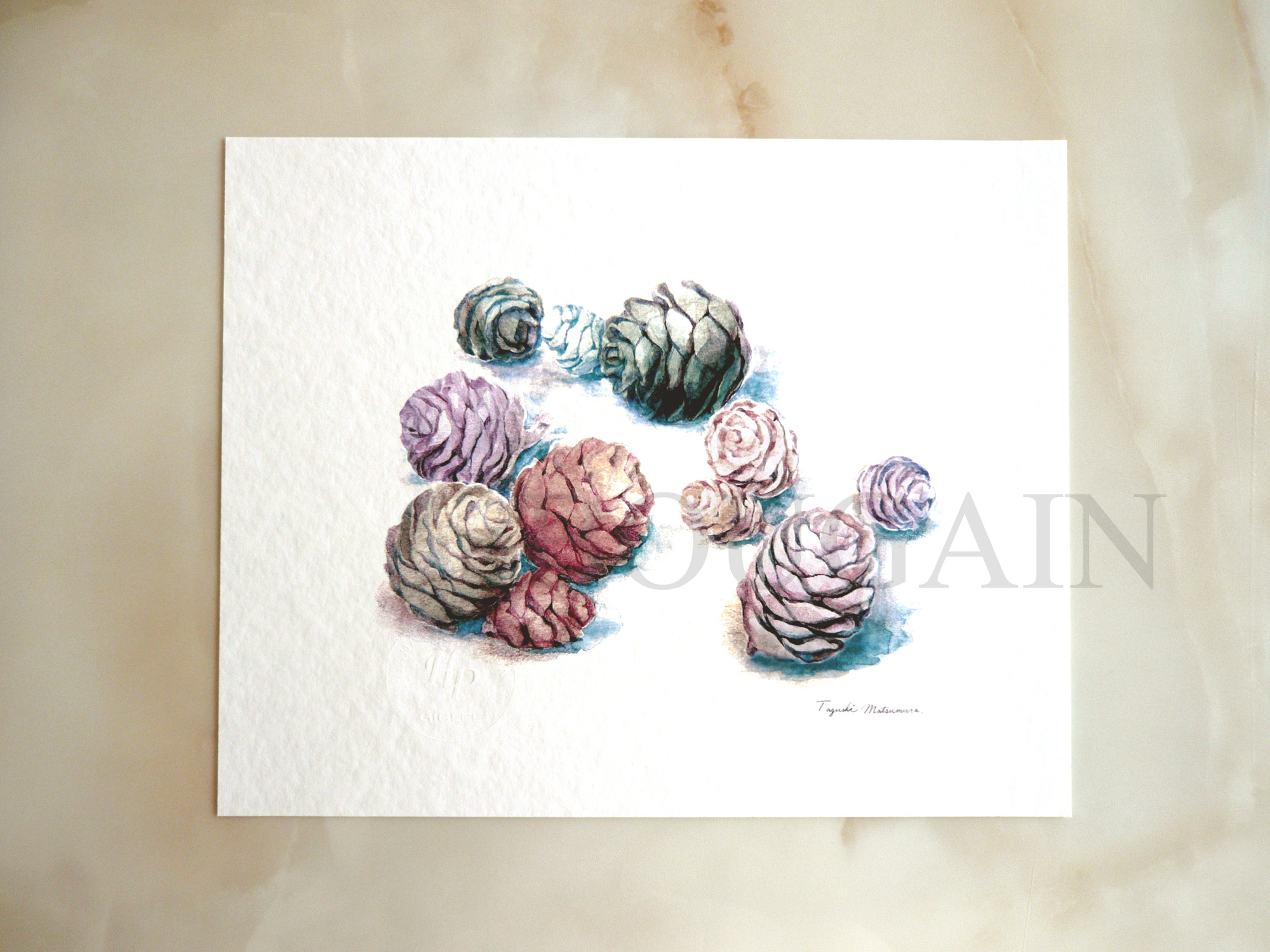 松ぼっくりのパステル画