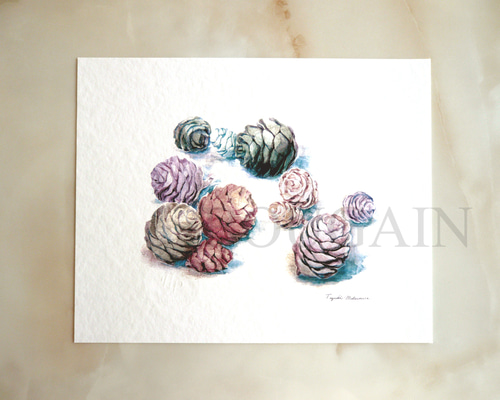 c8d6b9c5745ed8603078dc51094463