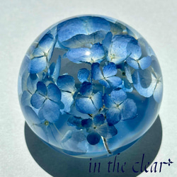 植物標本 紫陽花 水色 レジン 5センチ球体 ハーバリウム・植物標本 in