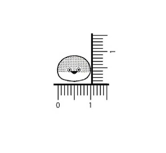 M11 サカバンパスピス小 2枚目の画像