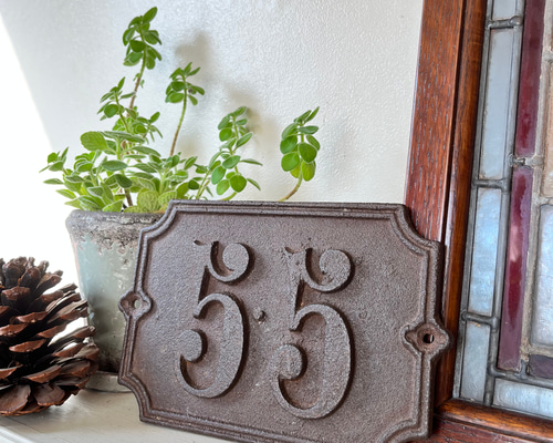 337af2455ffff959491fee18c93531