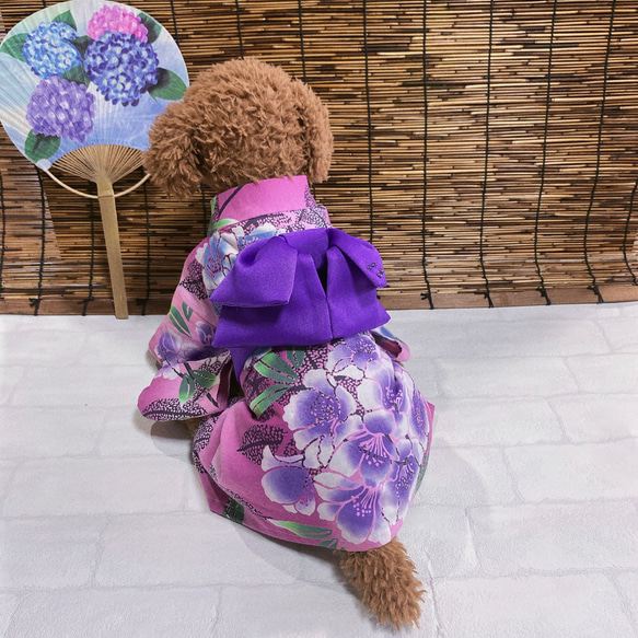 犬の浴衣✨犬用本格本染浴衣 ピンク×紫陽花柄 わんこ浴衣 4枚目の画像
