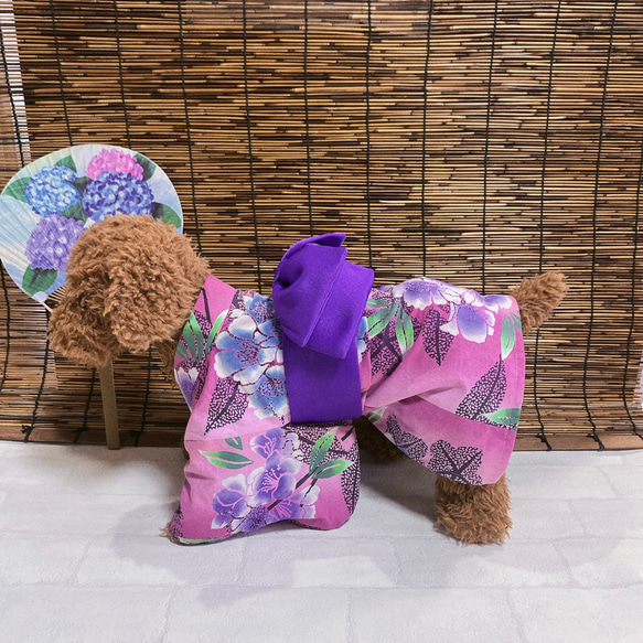 犬の浴衣✨犬用本格本染浴衣 ピンク×紫陽花柄 わんこ浴衣 6枚目の画像