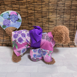 犬の浴衣✨犬用本格本染浴衣 ピンク×紫陽花柄 わんこ浴衣 5枚目の画像