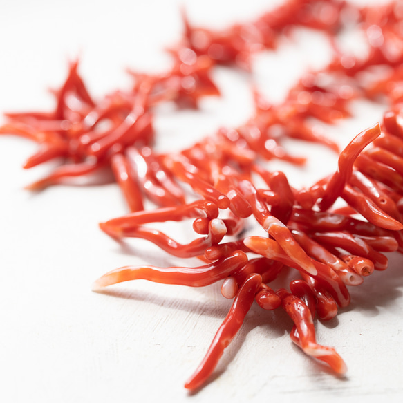 血赤サンゴ（コーラル） さざれ 高品質 【天然色】 2枚目の画像