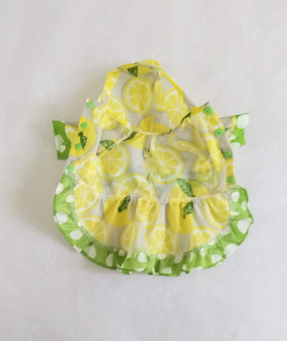 レモン柄のドレスレインコート（３号サイズ） 3枚目の画像