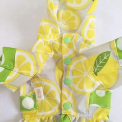 レモン柄のドレスレインコート（３号サイズ） 6枚目の画像
