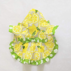 レモン柄のドレスレインコート（３号サイズ） 2枚目の画像