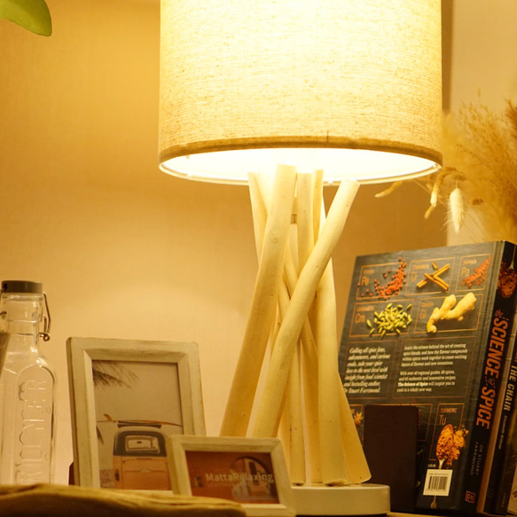 DRIFT WOOD TABLE LAMP 流木テーブルランプ LED電球付 ビーチカフェ 流木インテリア Type-A 5枚目の画像
