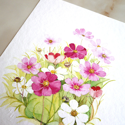 コスモス 】 ORIGINAL GICLEE 水彩画を高級紙に印刷した鑑賞用