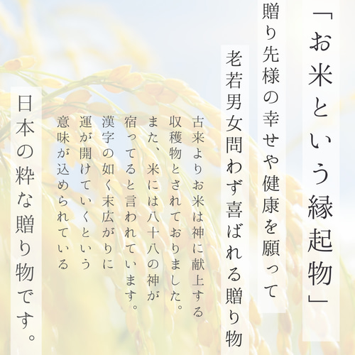 おこめ 様 揺らめき オーダーページ