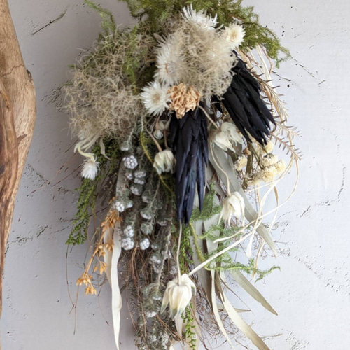 専用＊ダークネイビープロテア&ミモザ　ドライフラワースワッグ 専用＊ダークネイビープロテア&ミモザ ドライフラワースワッグ ダーク