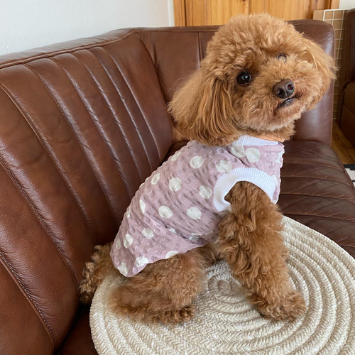 犬服 ハンドメイド浴衣 リップル生地 xxsサイズ 犬服 ハンドメイド浴衣 リップル生地Mサイズ - メルカリ