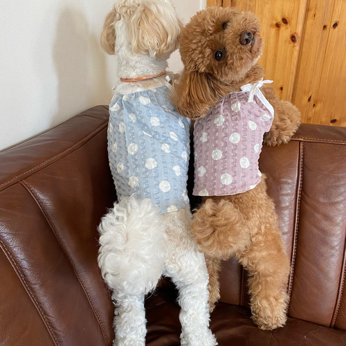 ♥︎︎完成品S♥︎︎ ハンドメイド犬服 うさ耳タグのリボンキャミソール 小型犬 きゃんナナ CanNana 冬いちごうさ耳ワンピース 1145【小型犬 犬