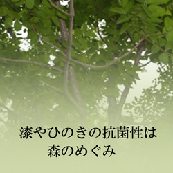 アロマペンダント「螺鈿金 銀河」伝統の漆わざによるアロマや香水の浸透と微香機能を開発した漆Proのアクセサリー誕生 4枚目の画像