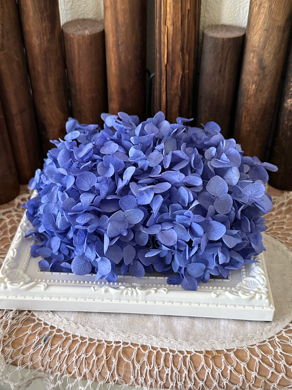 アナベルアジサイ新製品❣️タンザナイトブルー小分け❣️ハンドメイド