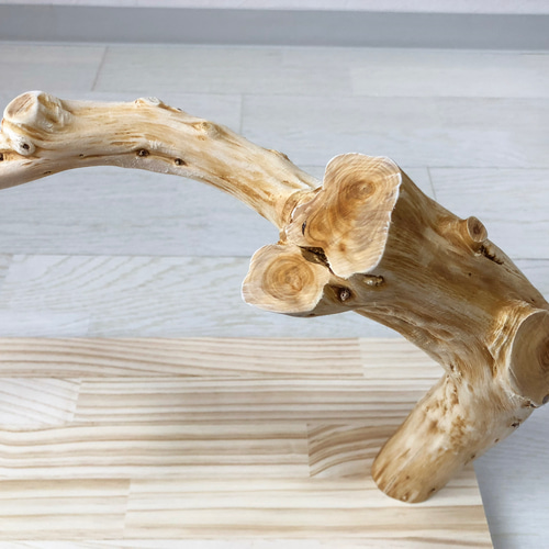 流木円柱型置物 温泉流木】渋い柱と割れ丸太流木のレトロ壁掛けラック ウォールラック