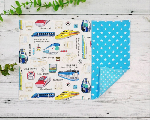 Rian 様　確認用　ランチョンマット　25×35 3枚 Rian 様 確認用 ランチョンマット 25×35 3枚 Rian 様 確認用 ランチョン