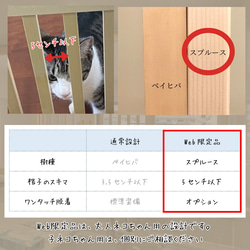 ネコちゃん用　キッチン侵入防止ドア 9枚目の画像