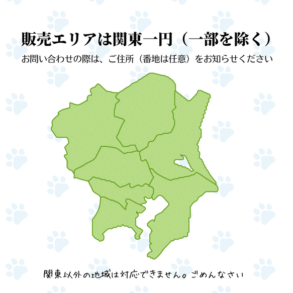 ネコちゃん用　キッチン侵入防止ドア 送料