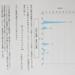  第10張的照片