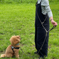 【ショルダーリード】　カフェリード　パラコード　ランニングリード　リード　犬　dog 多頭　小型　中型　大型 2枚目の画像