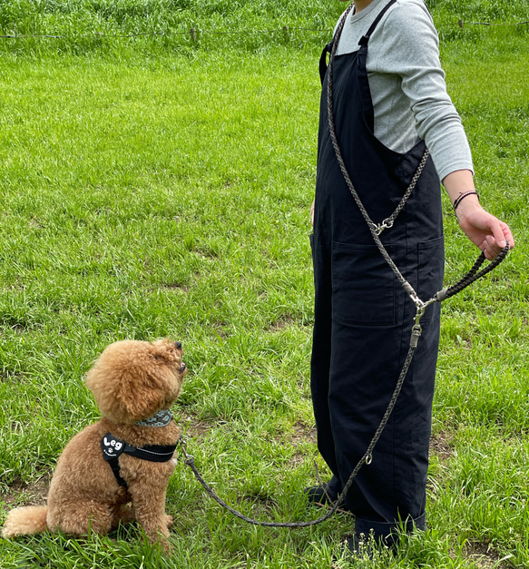 【ショルダーリード】　カフェリード　パラコード　ランニングリード　リード　犬　dog 多頭　小型　中型　大型 2枚目の画像