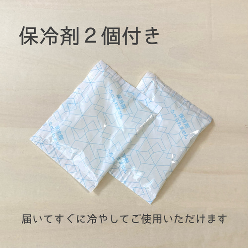 保冷剤付》リバティ ネッククーラー ミシェル ピンク 選べる2type